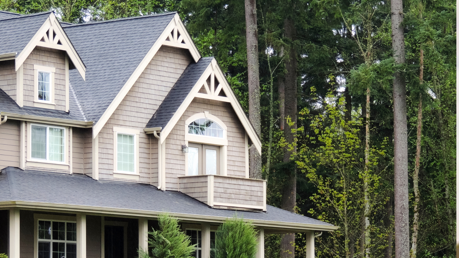 Untitled design - 2024-12-26T103250.007 SD Residency Assistance Service